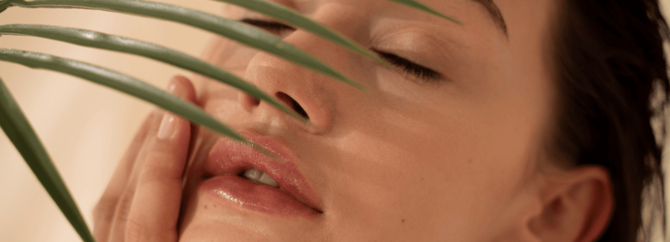 picnogenolo a cosa serve picnogenolo integratore picnogenolo controindicazioni