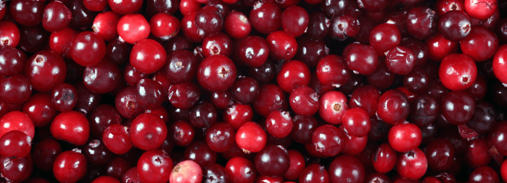 mirtillo rosso cistite cistite cosa fare d mannosio cistite infezioni vie urinarie integratori cistite