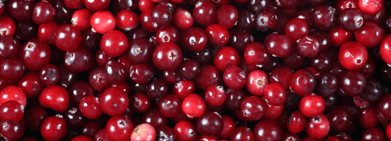 mirtillo rosso cistite cistite cosa fare d mannosio cistite infezioni vie urinarie integratori cistite