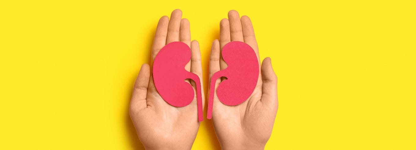 dolore ai reni come farlo passare cause dolori ai reni