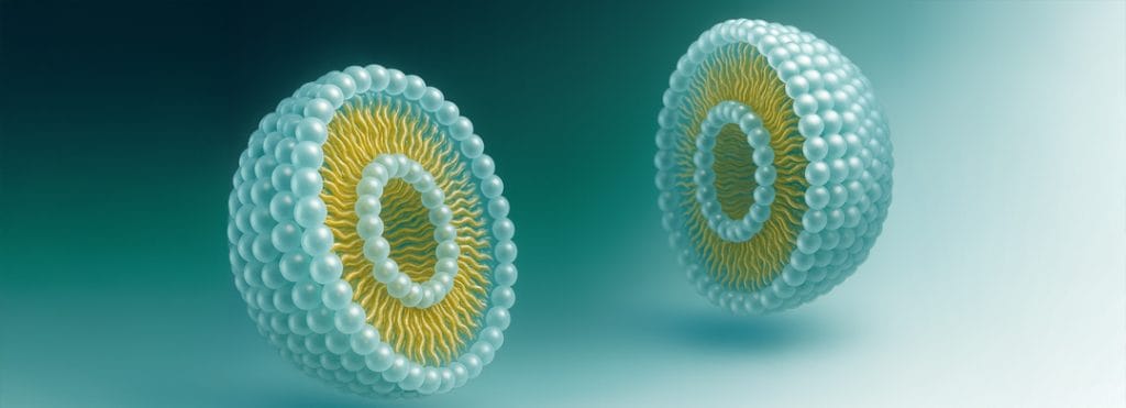 Glutatione liposomiale a cosa serve che cosa sono i liposomi